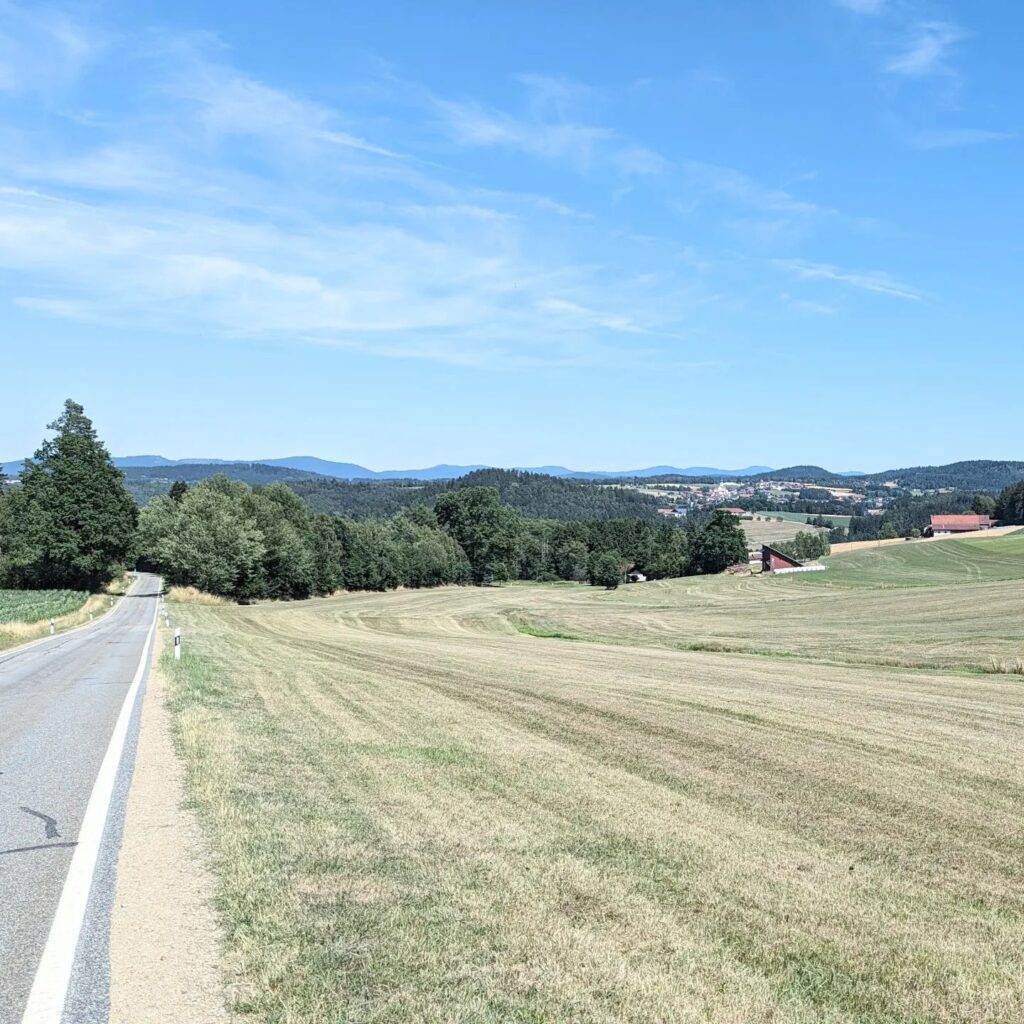 Asphaltierte Landstraße entlang hügeliger Wiesen und Wälder unter blauem Sommerhimmel mit fernen Bergen im Hintergrund.