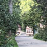 Schmale Asphaltstraße führt an historischen Fachwerkhäusern vorbei an dichtem, grünen Straßenbewuchs.