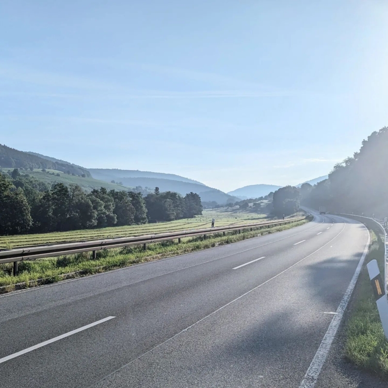 Kurvige Landstraße im Sonnenlicht führt durch ein grünes Tal mit bewaldeten Hügeln unter klarem blauem Himmel.