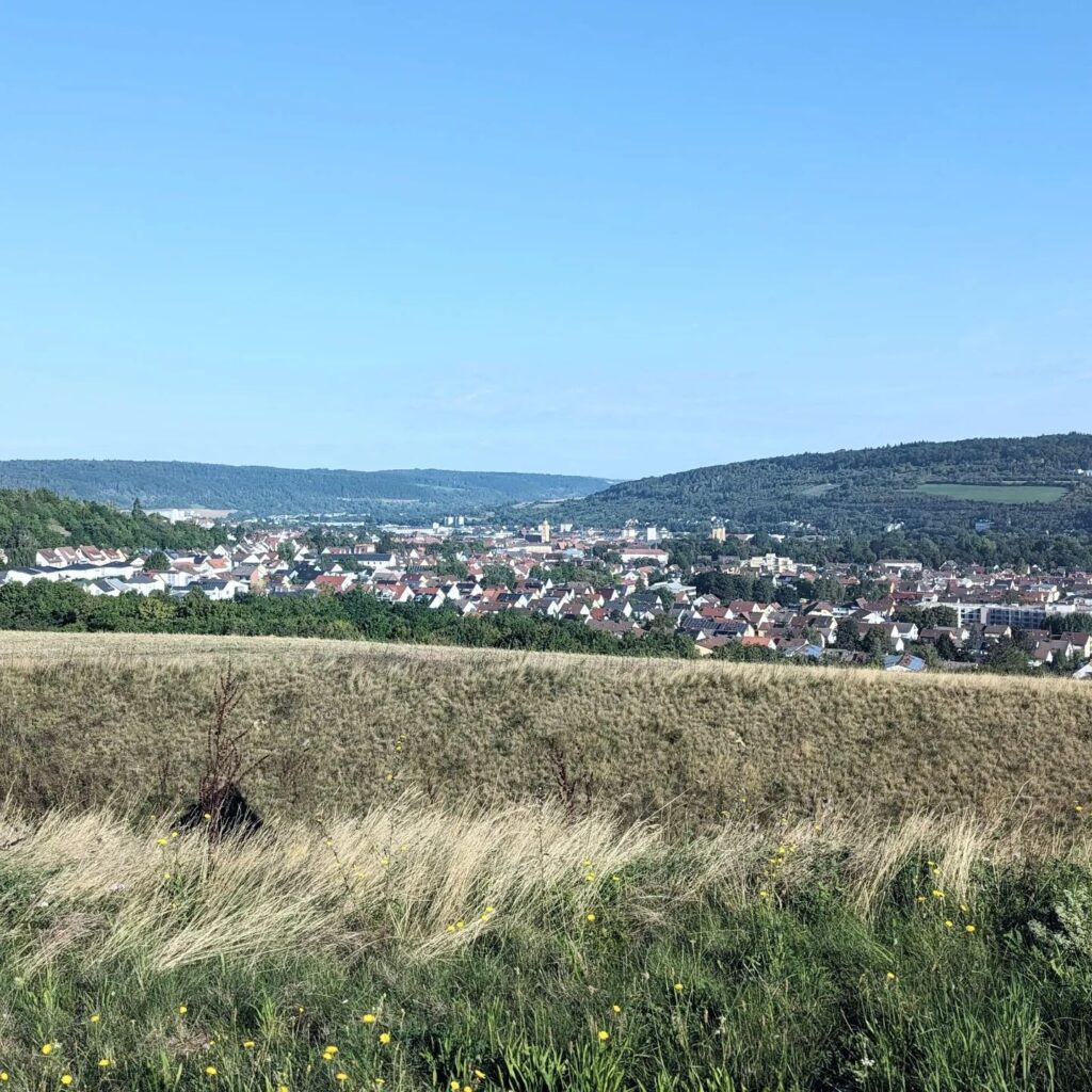 Blick über eine Wiese auf eine dicht bebaute Stadt im Tal, eingerahmt von bewaldeten Hügeln unter blauem Himmel.