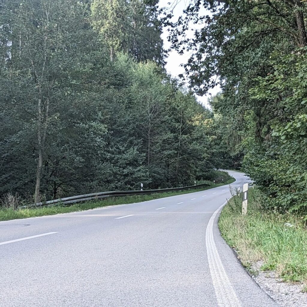 Kurvige Asphaltstraße führt durch einen dichten Wald mit Leitplanken und Begrenzungspfosten am Straßenrand.