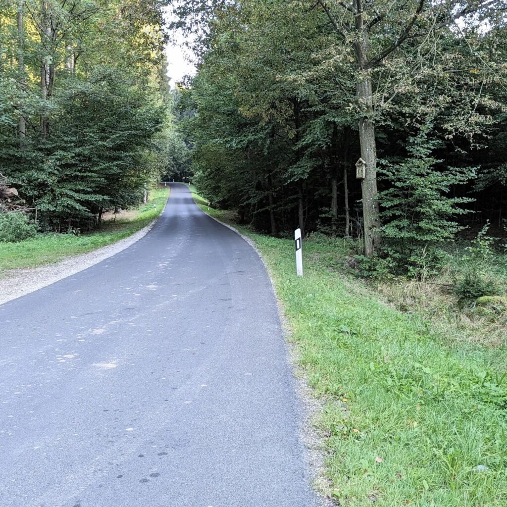 Asphaltierte Straße führt durch einen dichten grünen Wald mit einem kleinen hölzernen Schaukasten an einem Baum rechts.