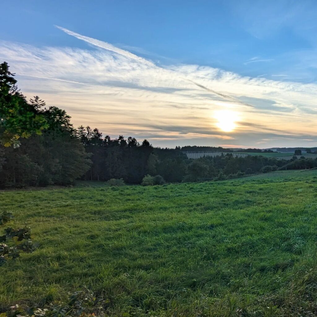 Grüne Hügellandschaft mit Waldrand unter einem bewölkten Himmel bei tiefstehender Sonne am Nachmittag.