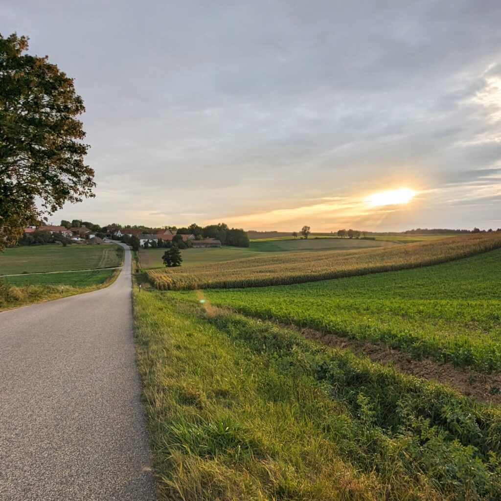 Landstraße führt durch grüne Hügel und Felder zu einem kleinen Dorf unter einer tiefstehenden, leuchtenden Abendsonne.