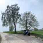 Ein weiß-blaues BMW R 1200 GS Motorrad parkt auf einem Feldweg unter zwei Bäumen neben einer Holzbank.