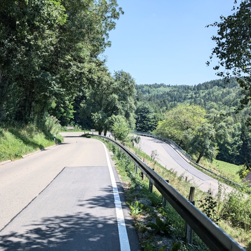 Kurvenreiche, asphaltierte Landstraße im bergigen Gelände, umgeben von dichtem, grünem Wald unter blauem Himmel.