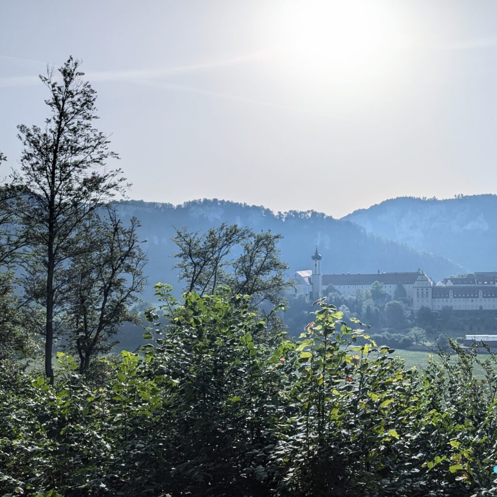 Blick durch grüne Büsche und Bäume auf das Kloster Beuron im Donautal, umrahmt von felsigen, bewaldeten Hügeln.