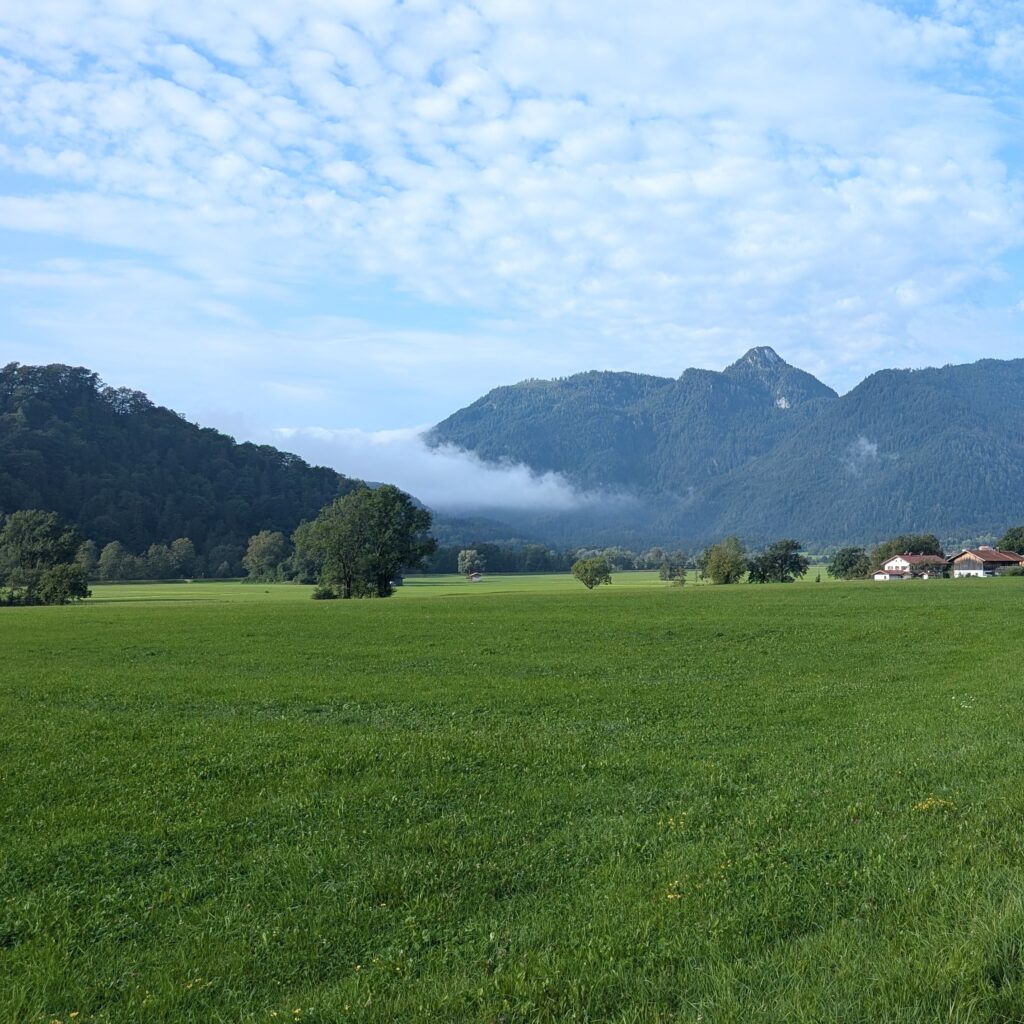 Weite grüne Wiese mit einzelnen Bäumen. Im Hintergrund bewaldete Berge, teilweise von Nebel umhüllt.