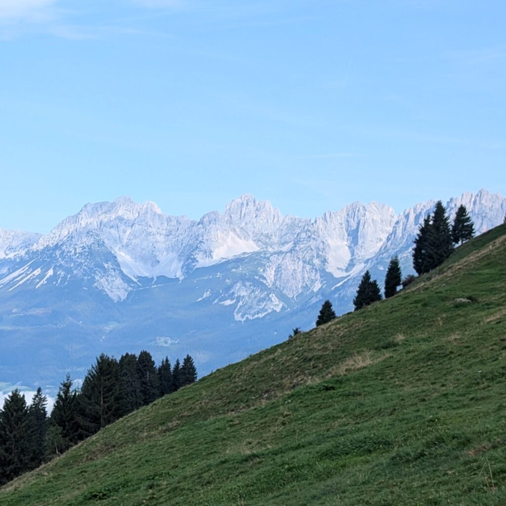 Blick über einen steilen, grünen Berghang mit vereinzelten Tannen auf eine gezackte Kette von hellgrauen Felsgipfeln.