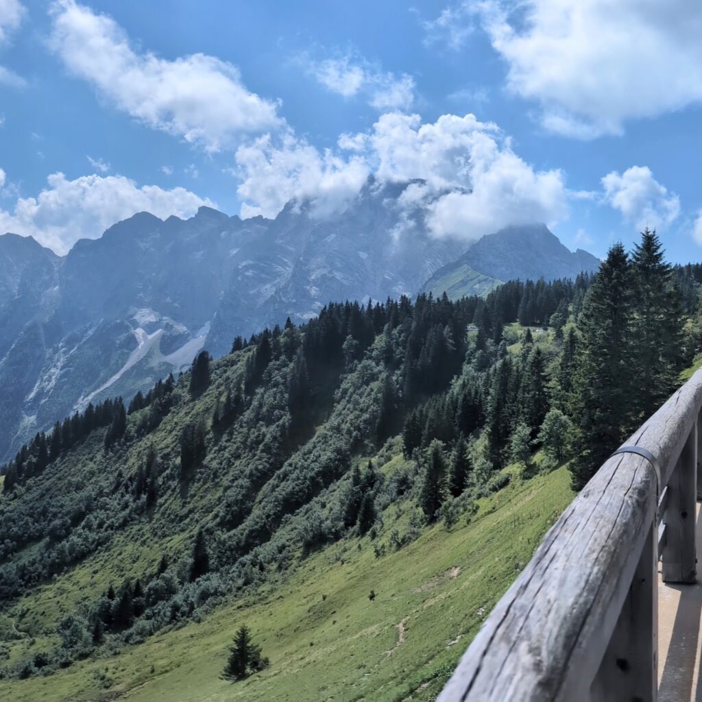Ein sonniger Berghang mit üppigen grünen Wiesen und dichtem Nadelwald, dahinter ragen felsige Alpengipfel empor, umhüllt von weißen Wolken.