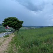 Blick auf weite grüne Felder mit Baum und einer Straße, daneben Warnschild Gefährliches Gefälle 14%. Dunkle Wolken.