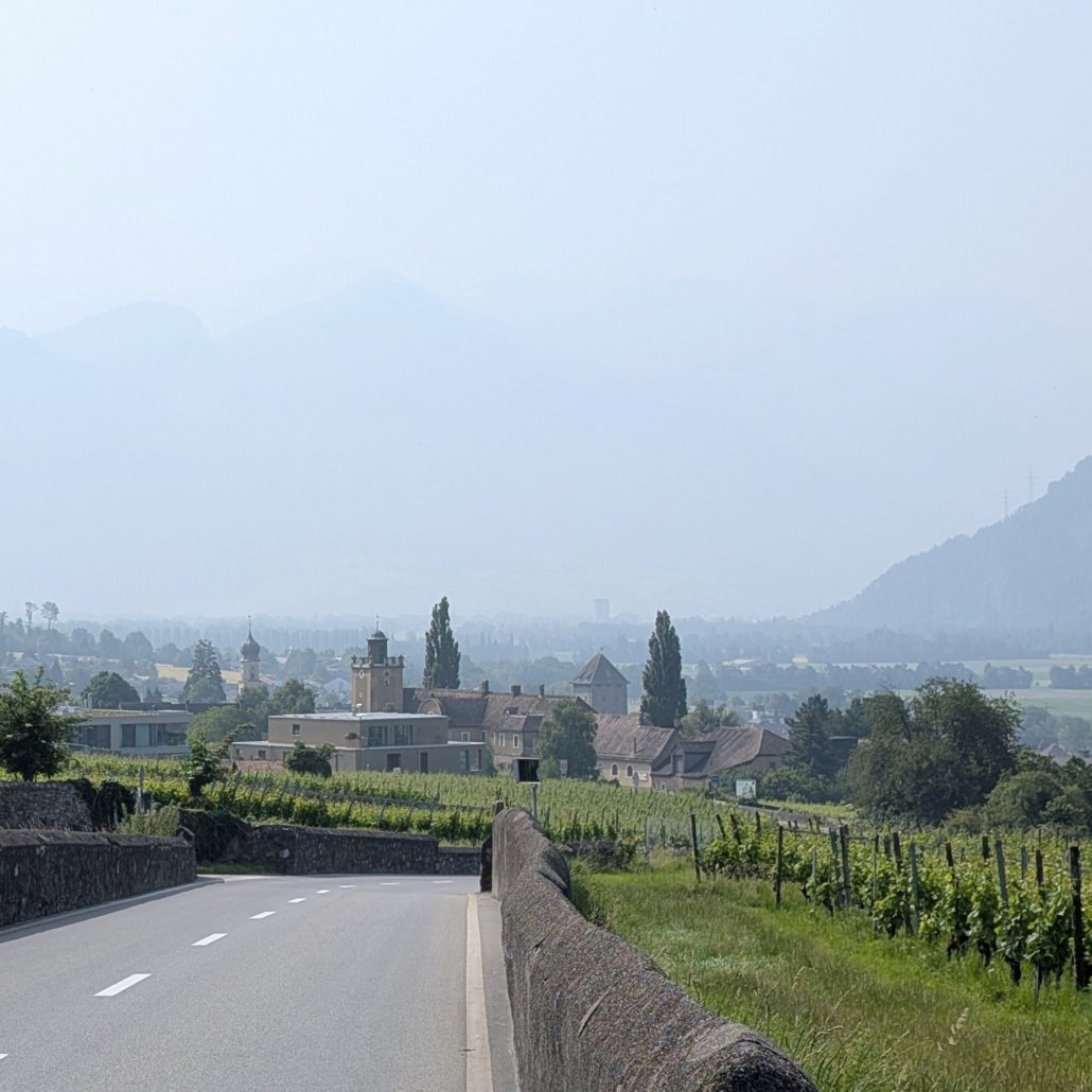 Weinberg führt zu Schlossgut mit Türmen, grüner Landschaft und Dunst über den Bergen im Hintergrund.