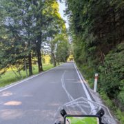 Sicht vom Lenker eines Motorrads auf eine von Bäumen gesäumte Landstraße mit GPS-Navigation auf dem Smartphone.