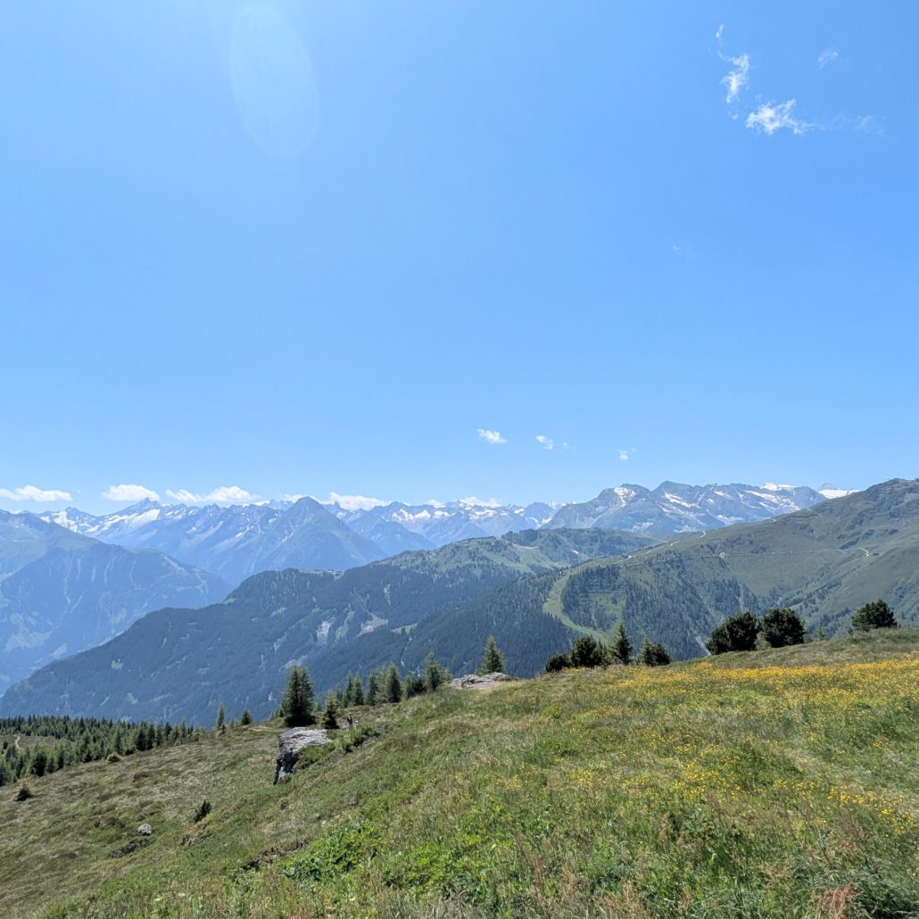 Blick über einen grünen Berghang mit gelben Blumen auf eine lange Kette schneebedeckter Alpengipfel unter blauem Himmel.