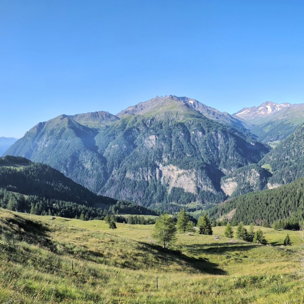 Majestätisches Gebirgspanorama mit dicht bewaldeten Hängen, einer sonnigen grünen Almwiese im Vordergrund und blauem Himmel.