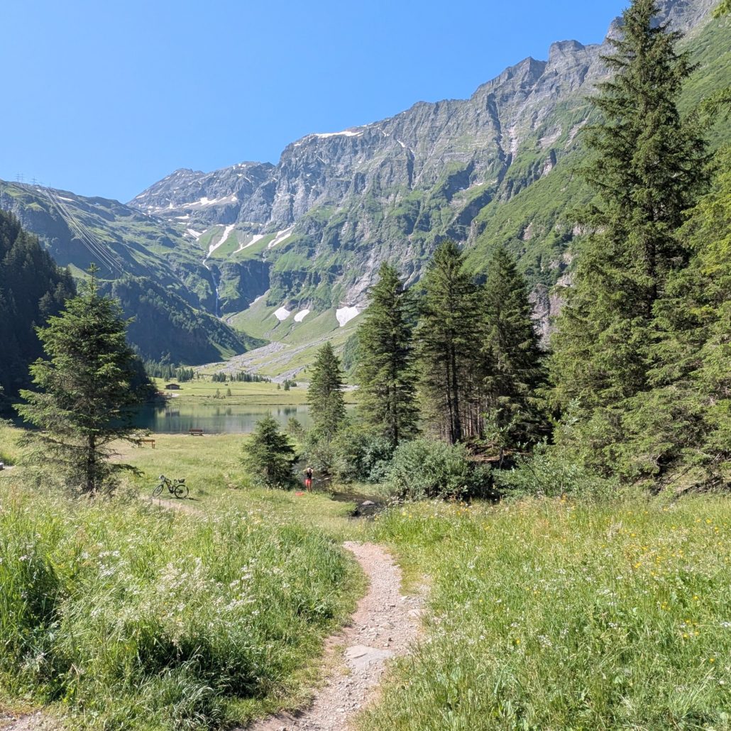 Kiesiger Wanderweg durch eine grüne Wiese, umgeben von Tannen, führt zu einem See vor hohen, felsigen Bergen.