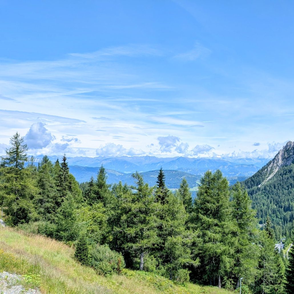 Weitblick auf eine tiefe Bergkette am Horizont, gesehen über eine Reihe von Nadelbäumen und einen grünen Hang.