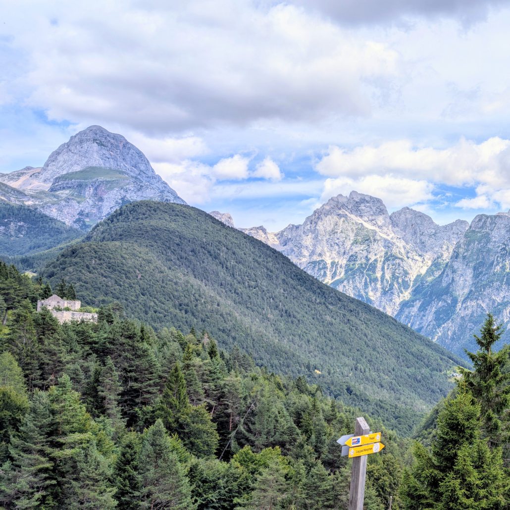 Panoramablick auf bewaldete Berghänge und schroffe, graue Gipfel der Julischen Alpen in Slowenien unter bewölktem Himmel.