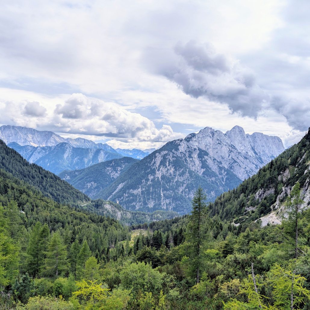Gewundene Serpentinenstraße in den grünen Hügeln, gesäumt von Wiesen und Wäldern, mit zwei traditionellen Häusern.