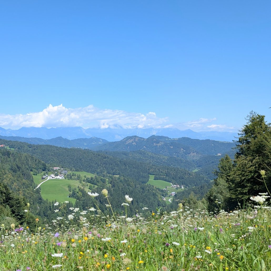 Wiesenblumen im Vordergrund; dahinter ein Tal mit Wäldern, grünen Feldern und Häusern, begrenzt von einer Bergkette.
