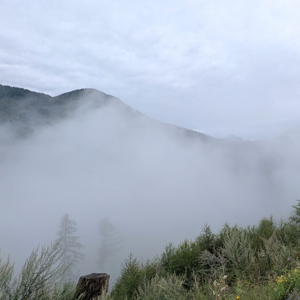 Dichter Nebel oder tiefe Wolken hüllen grüne, bewaldete Berghänge ein, mit Gestrüpp im Vordergrund.