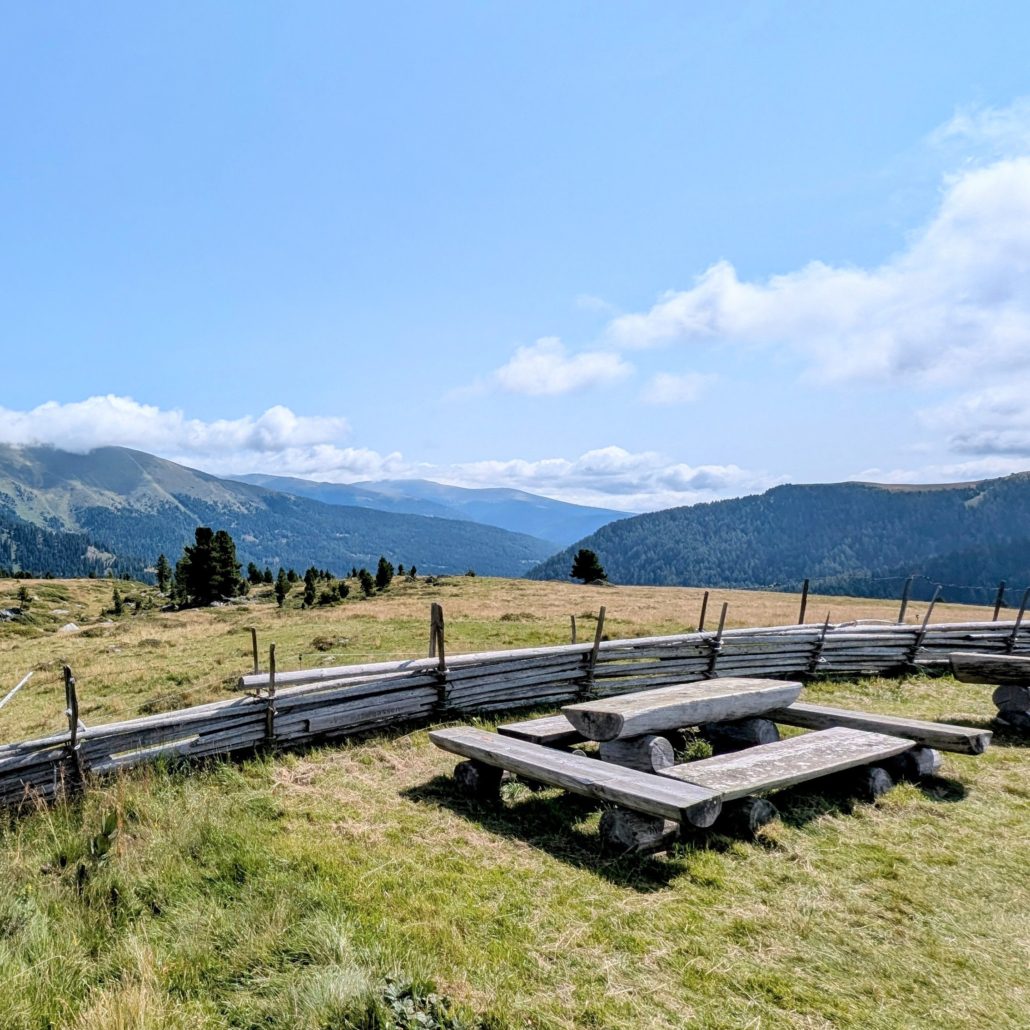 Rustikale, holzgeschnitzte Sitzgelegenheiten (Tische und Bänke) auf einer grünen Bergwiese mit Holzzaun und Tannenbäumen.