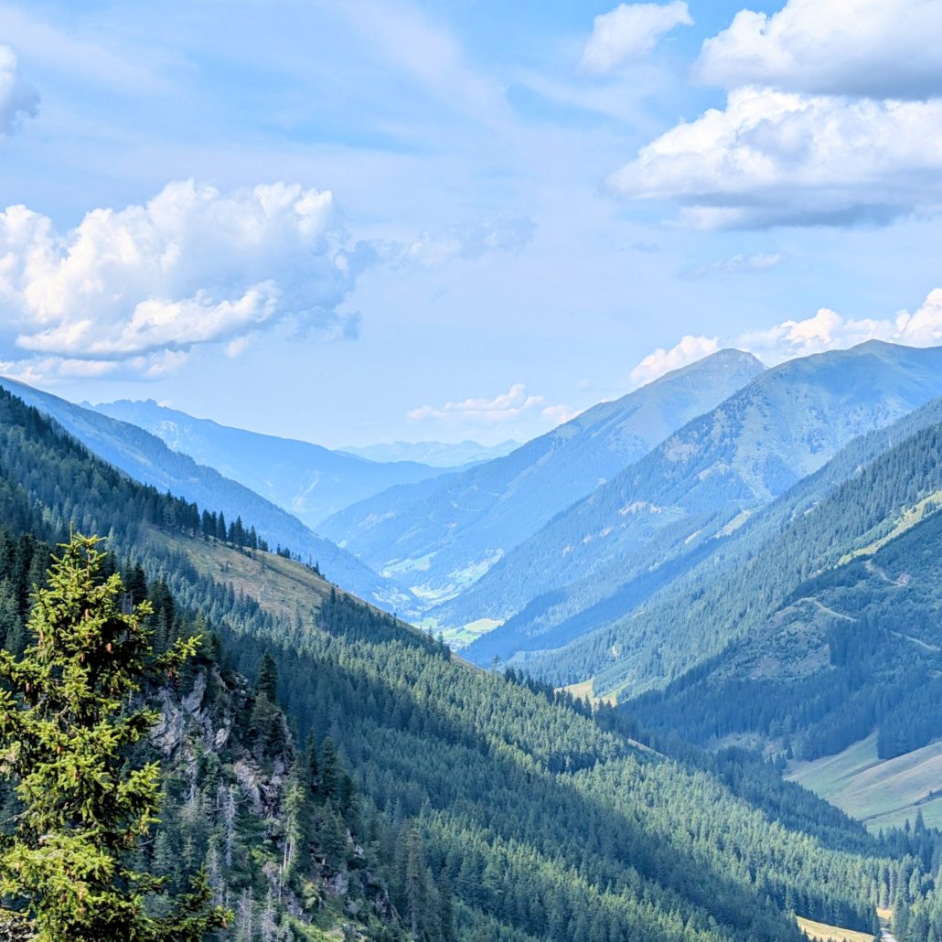 Ein weites Alpental, umgeben von dicht bewaldeten Berghängen, die in der Ferne blassblau erscheinen, unter einem bewölkten Himmel.