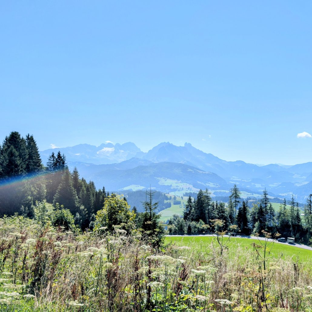 Majestätisches Alpenpanorama mit bewaldeten Hügeln und sonnenbeschienenen Wiesen unter strahlend blauem Himmel im Sommer.