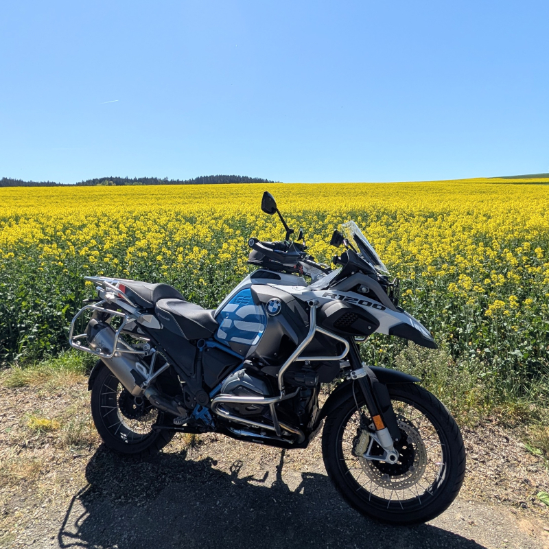 BMW R1200GS Adventure Rallye steht auf Asphalt vor einem weiten, blühenden Rapsfeld unter blauem Himmel.