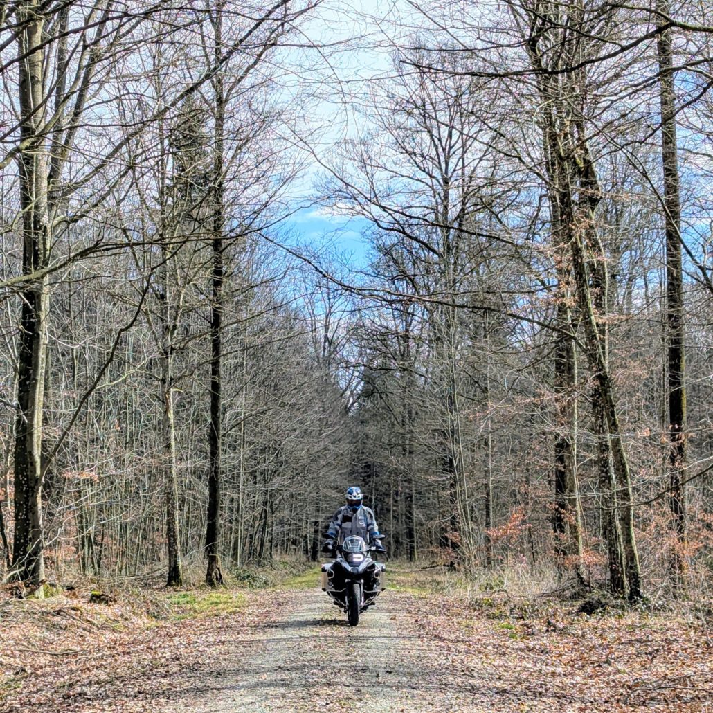 Motorradfahrer in grauer Jacke und Helm fährt auf einem Schotterweg durch einen laublosen Wald an einem sonnigen Tag.